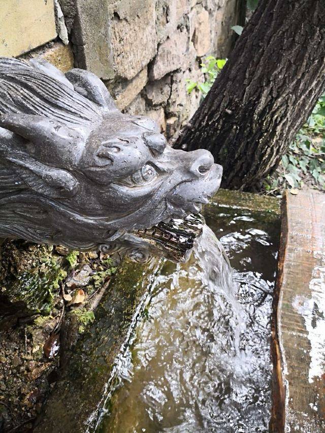 白龙潭皇家森林公园