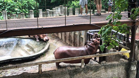 绿山野生动物园
