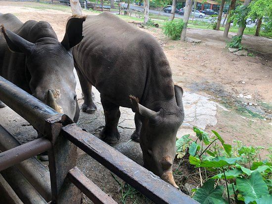 绿山野生动物园