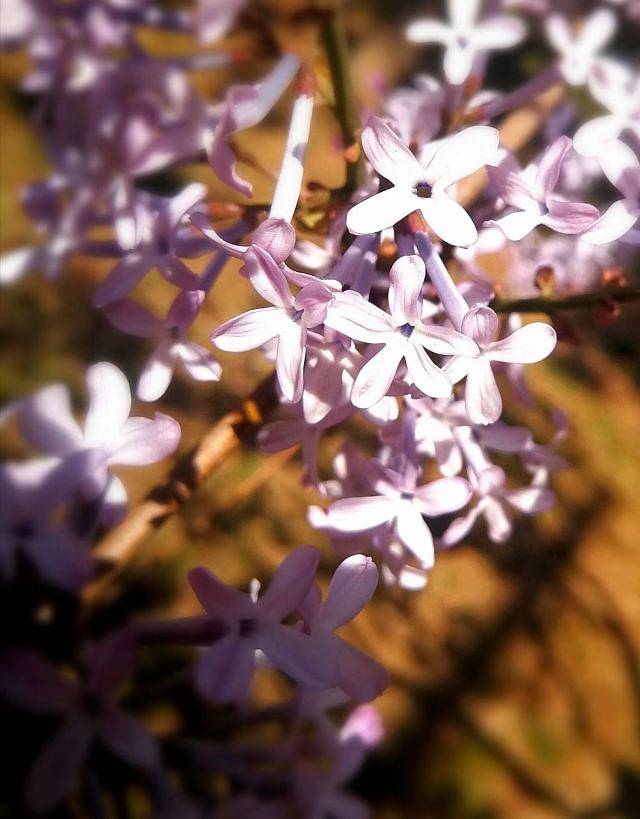 冶仙塔旅游风景区