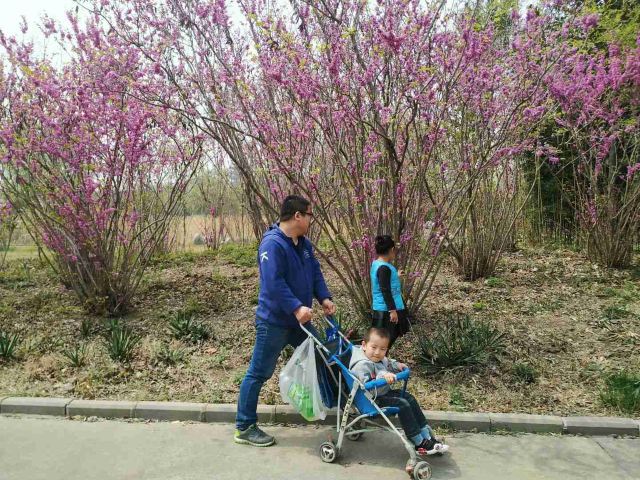 罗庄盛能游乐园