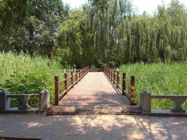 "景点环境还是挺不错，洛神湿地公园免费的，晨练是个好去处。以后有机会再去瞧瞧_东阿药王山"的评论图片