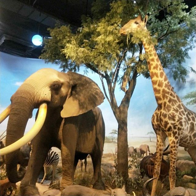 陕西自然博物馆