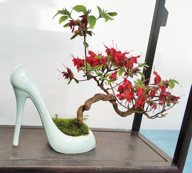 中国杜鹃花博览园