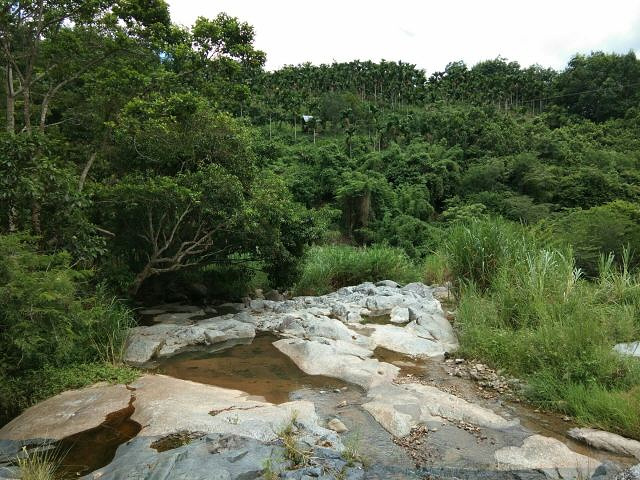 "也是天然的热带植物园，只有零星本地人才会来，非常清净宜人的养身养心之地_五指山水满河热带雨林风景区"的评论图片