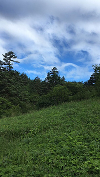 神农顶风景区旅游景点攻略图