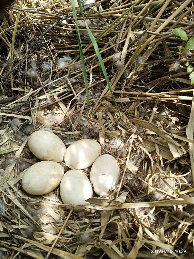 向海国家级自然保护区