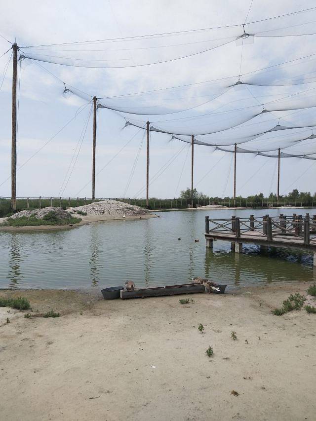 向海国家级自然保护区