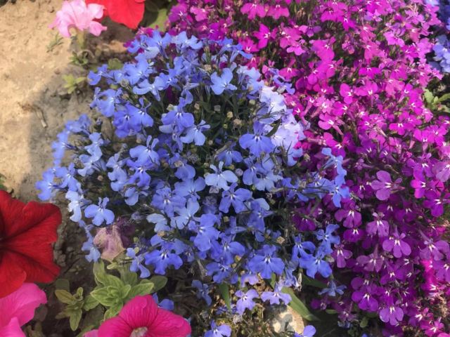 云岫谷游猎自然风景区