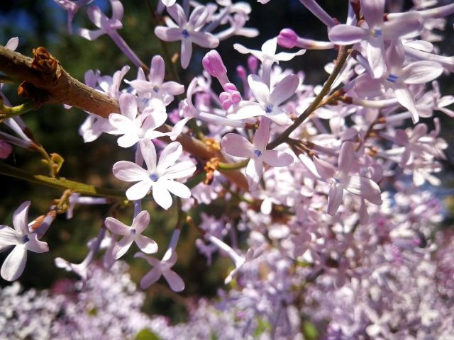 云岫谷游猎自然风景区