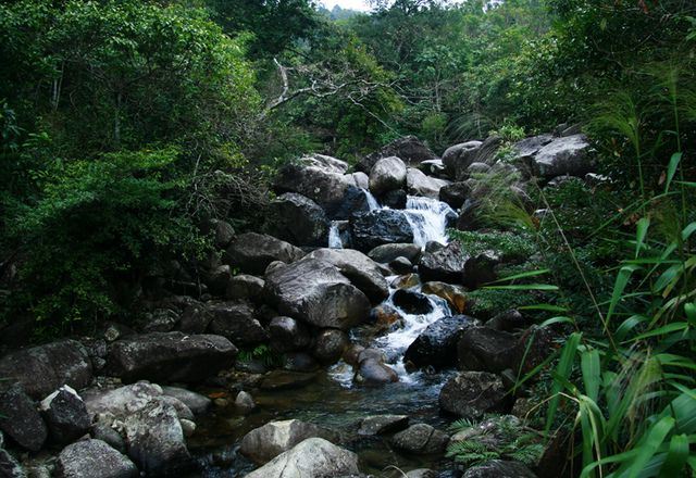 屏峰雨林恐龙公园