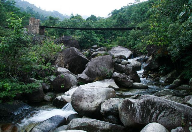 屏峰雨林恐龙公园