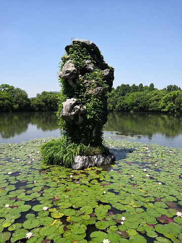 "想要上岛，需要乘坐西湖画舫，在画舫上，可以看到广阔的西湖美景，还有远处的雷峰塔_三潭印月"的评论图片