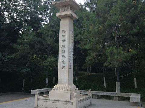 兴庆宫公园旅游景点图片