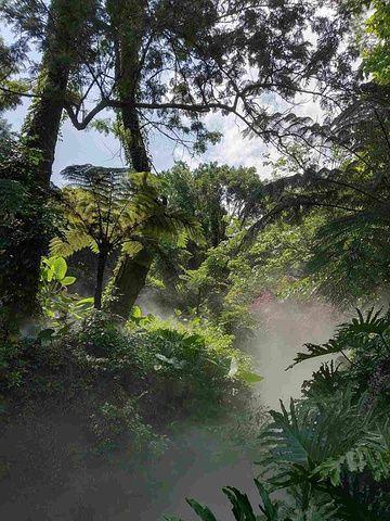 2023很好玩很便宜的公园,热带雨林区真是给人印象深刻,多肉区也很不错