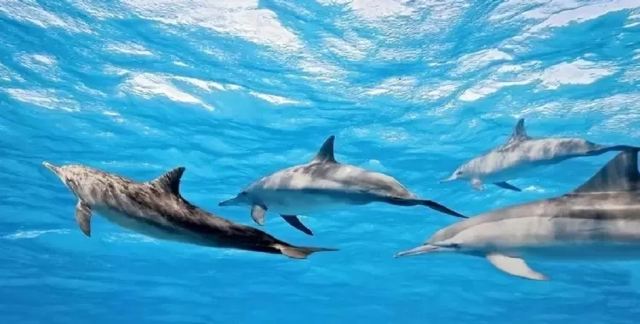 海趣花都海洋世界