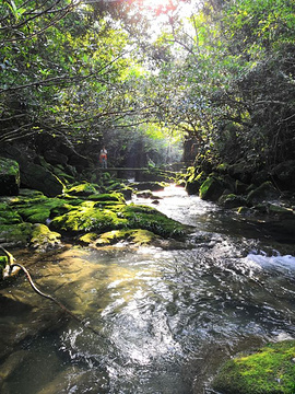 荔波茂兰自然保护区旅游景点攻略图