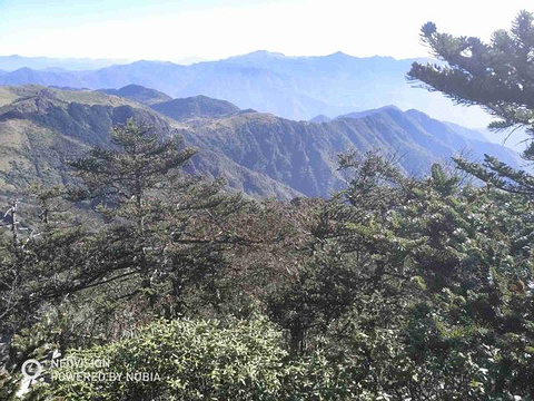 神农顶风景区旅游景点攻略图