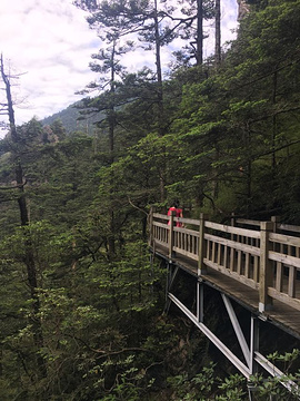 神农顶风景区旅游景点攻略图