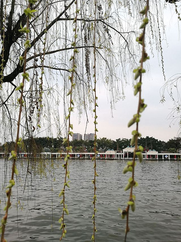 "苏幕遮—《春游金雁湖》&#x0A_金雁湖公园"的评论图片