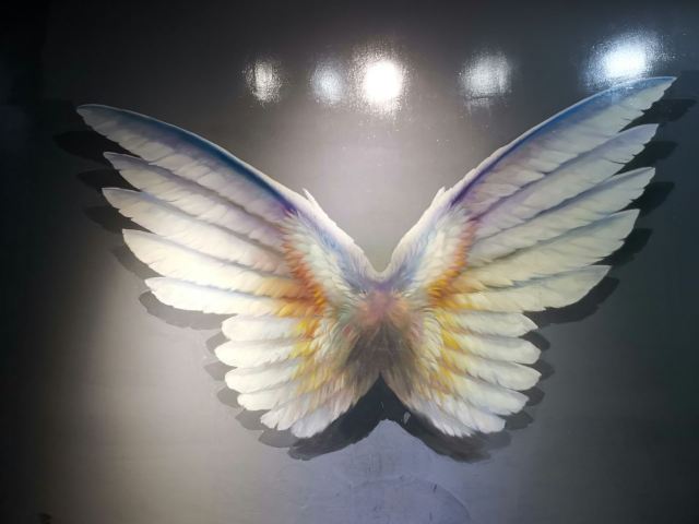 奇幻艺术体验馆