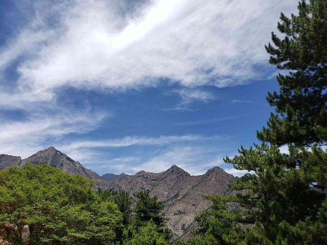 "服务人员态度很好，贺兰山风景也大有可观，景区内还有不少岩羊_宁夏贺兰山国家森林公园"的评论图片