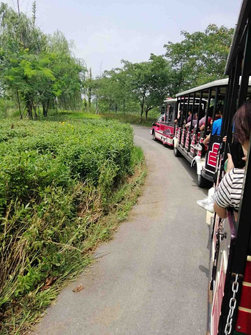 "湿地面积很大，荷花品种很多，花很漂亮。不足的地方：若是在游玩途中的站点上小火车秩序很乱，无人管理_泗洪洪泽湖湿地"的评论图片