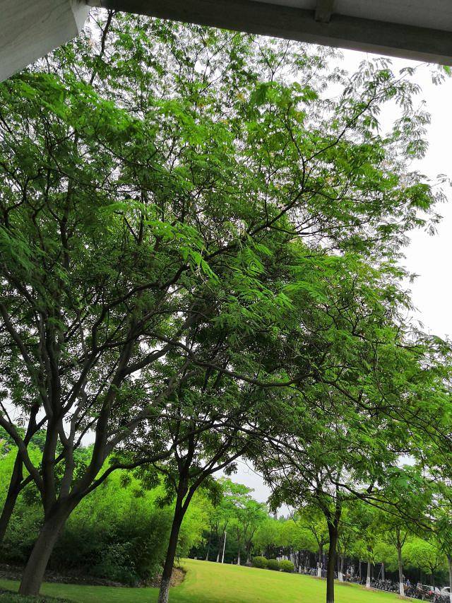 塔里木河与塔克拉玛干游览区