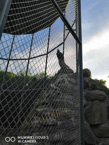 "_秦岭野生动物园"的评论图片