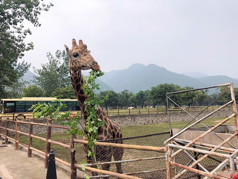 秦岭野生动物园旅游景点攻略图