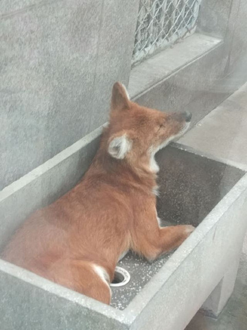 "_秦岭野生动物园"的评论图片