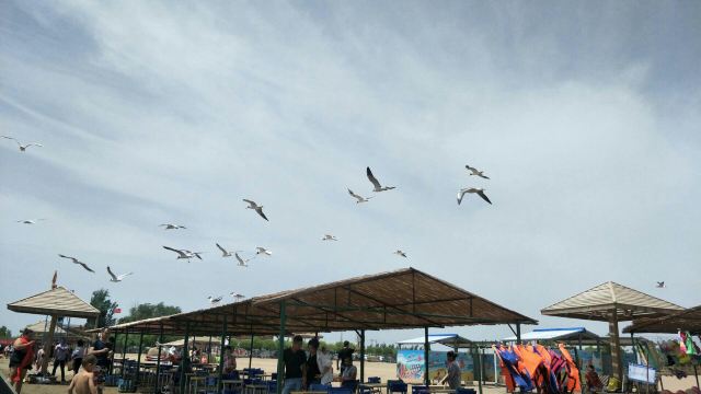 新疆金沙滩旅游度假区