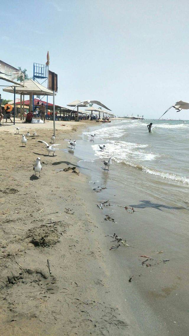 新疆金沙滩旅游度假区