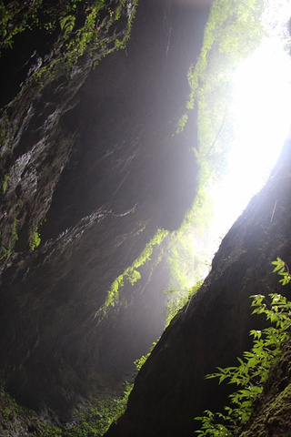 "...里有瀑布有红色的岩石风景真的是太棒了，大瀑布也非常的漂亮在贵州这里真的是少见的美景很不错的体验_赤水丹霞"的评论图片