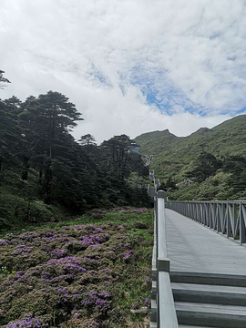 洗马潭大索道旅游景点攻略图