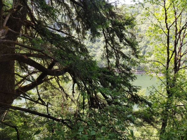 孟达国家级保护区