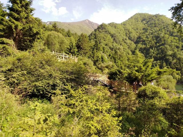 孟达国家级保护区