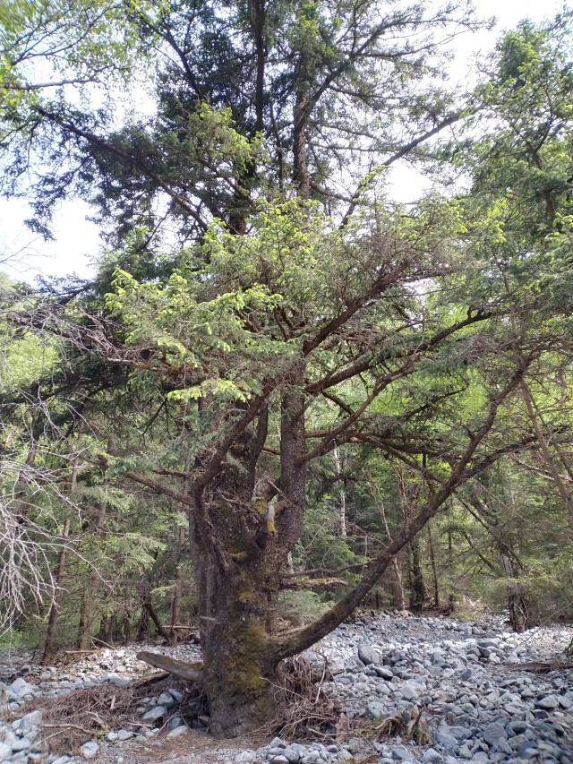 孟达国家级保护区