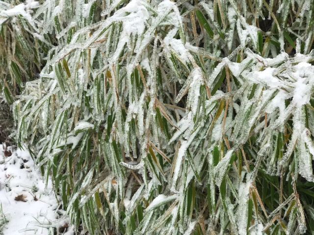 花水湾第一村温泉