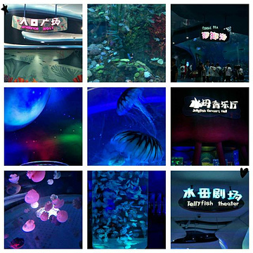 上海海昌海洋公园旅游景点攻略图