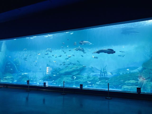 "_上海海昌海洋公园"的评论图片