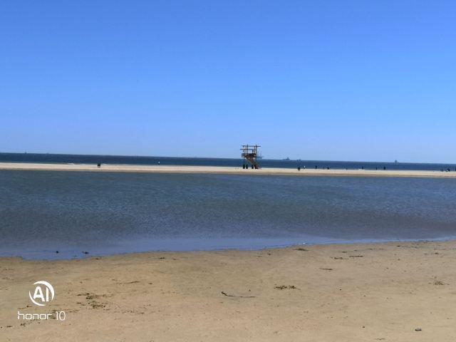 2021月島門票,樂亭月島遊玩攻略,月島遊覽攻略路線