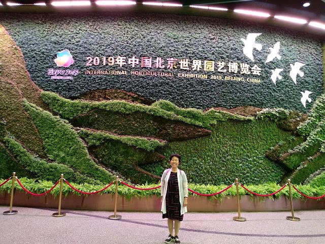 "_甘肃园(北京世界园艺博览会)"的评论图片