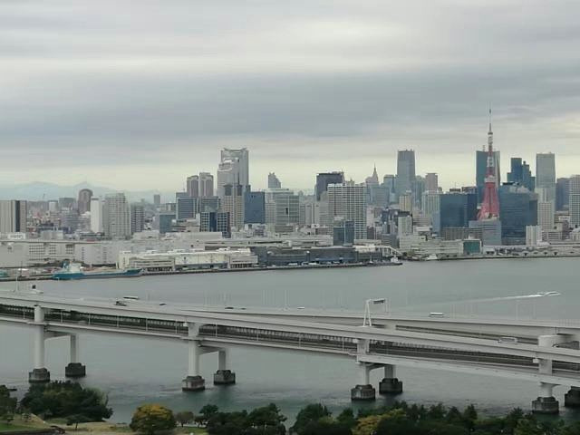"世界最大的湾区之一东京湾，是日本经济发展的基础，湾区发展的很完整和漂亮，既有实体经济工厂，也有..._东京湾"的评论图片