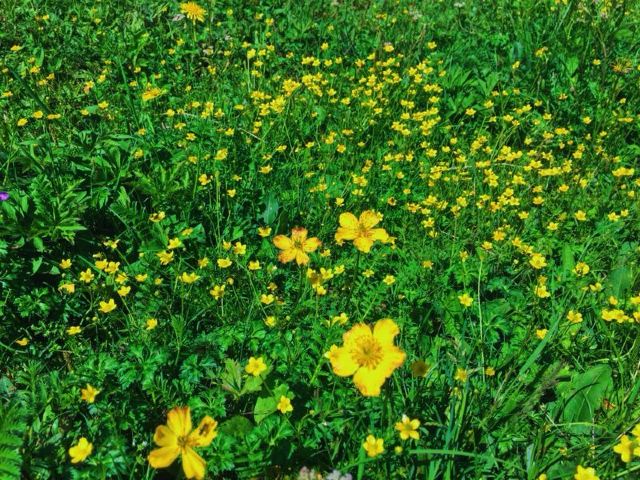 吐鲁沟国家森林公园