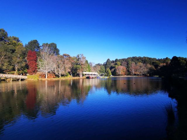 普芬比利蒸汽小火车