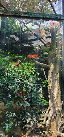 "这个动物园的一大特色就是景色优美_武汉动物园"的评论图片