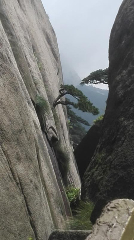 "一路上被无数的奇峰怪石、名崖、异洞、涧瀑、云雾等自然景观所吸引，最好玩的是山上的云雾缭绕、飘忽..._天柱山"的评论图片