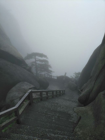 "险峻无比，很适合喜欢刺激的攀爬，山顶上各种怪石嶙峋，奇形怪状，让人目不暇接，美中不足的是自己运..._天柱山"的评论图片