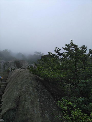 "险峻无比，很适合喜欢刺激的攀爬，山顶上各种怪石嶙峋，奇形怪状，让人目不暇接，美中不足的是自己运..._天柱山"的评论图片